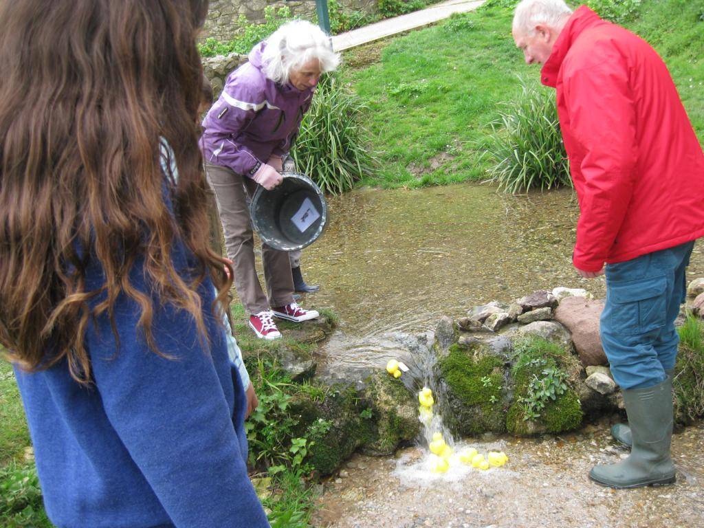 Duck_race2 Christmas